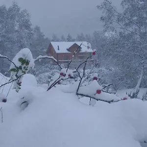 Chalet Bois Au Milieu Des Pyrénées, LʼHospitalet-près-lʼAndorre